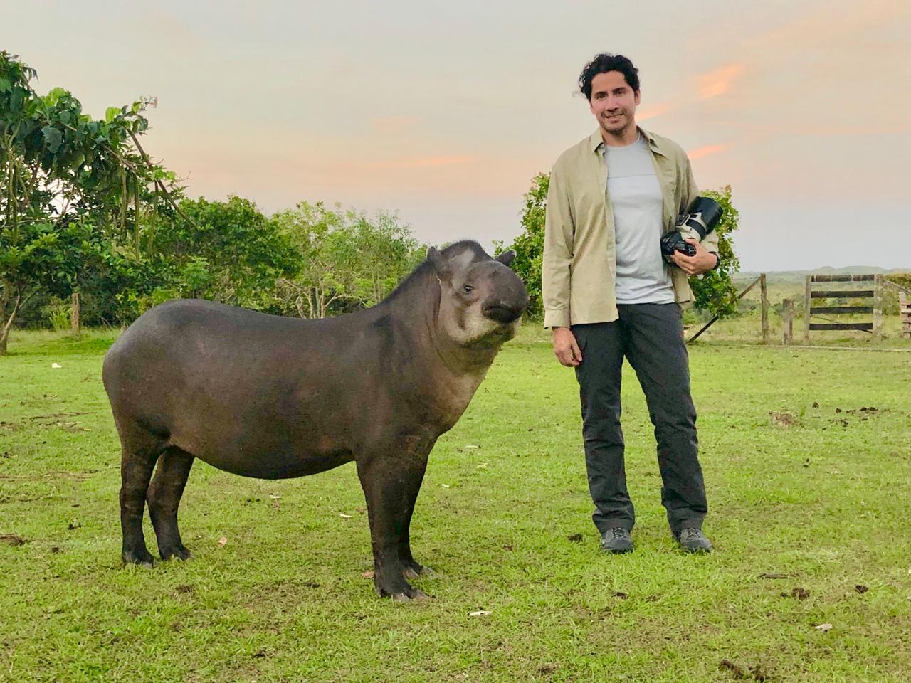 editor interacting with lowland tapir